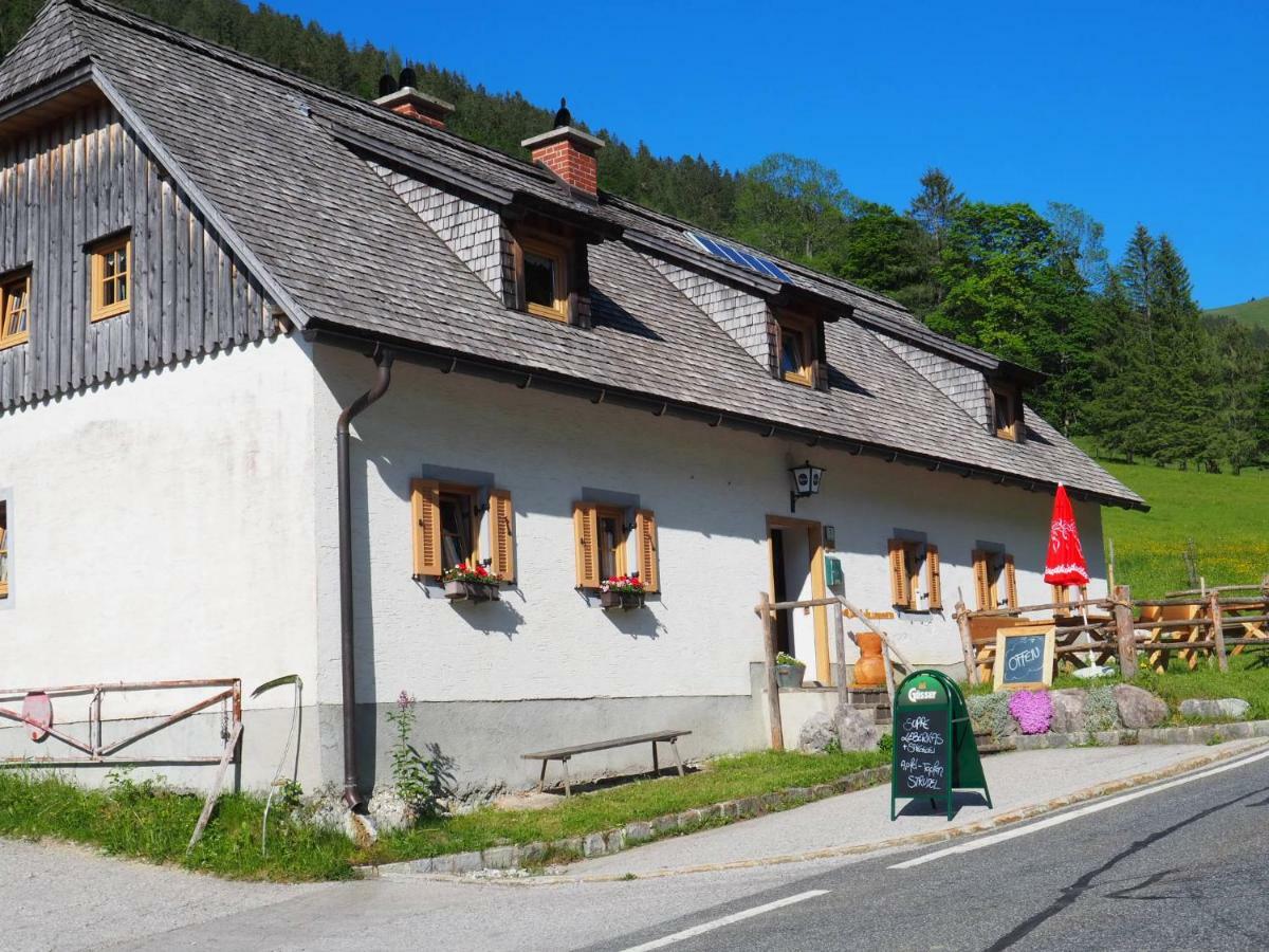 Zickerreith Almhütte Albergue Rosenau am Hengstpass Exterior foto