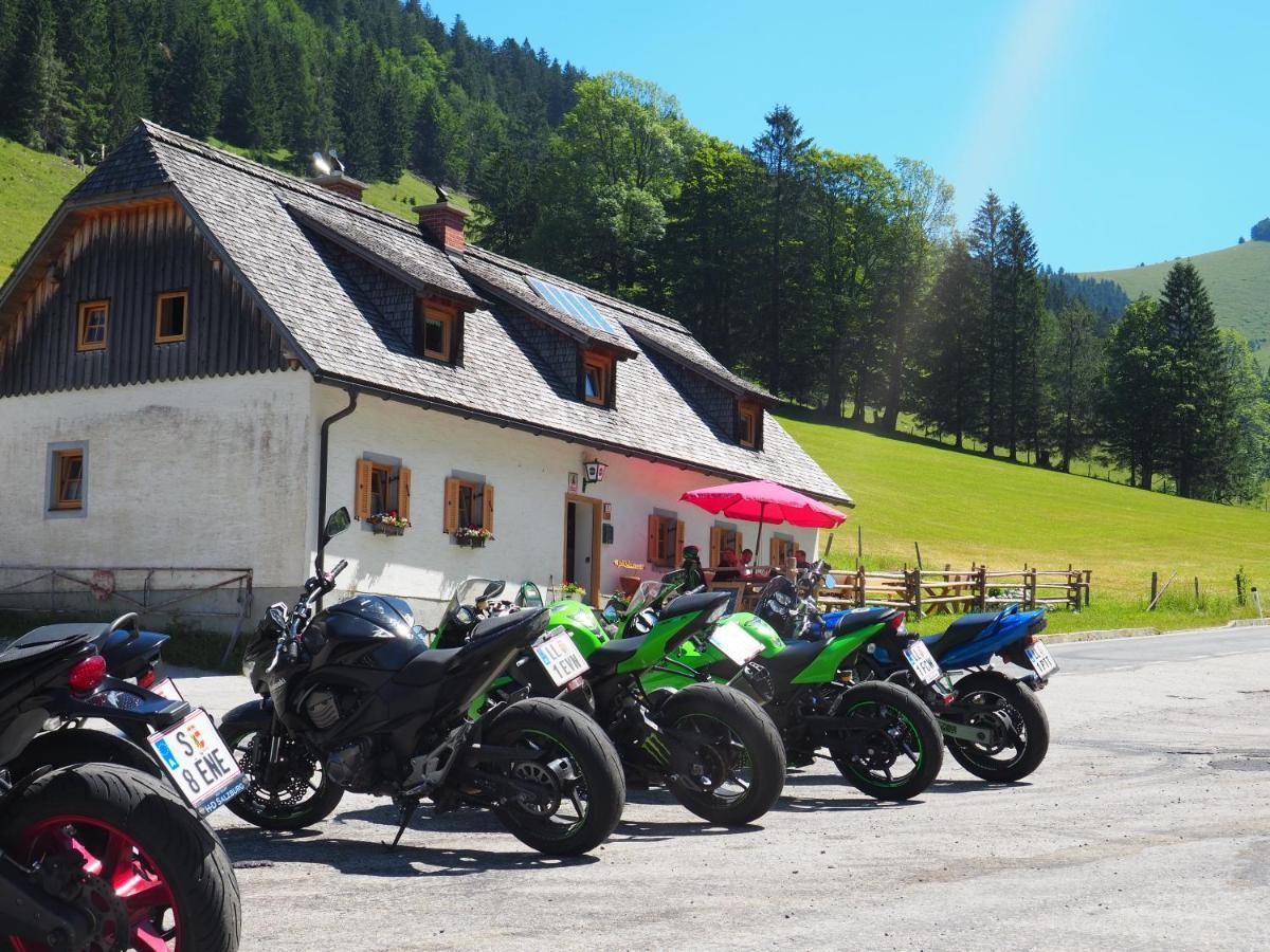 Zickerreith Almhütte Albergue Rosenau am Hengstpass Exterior foto