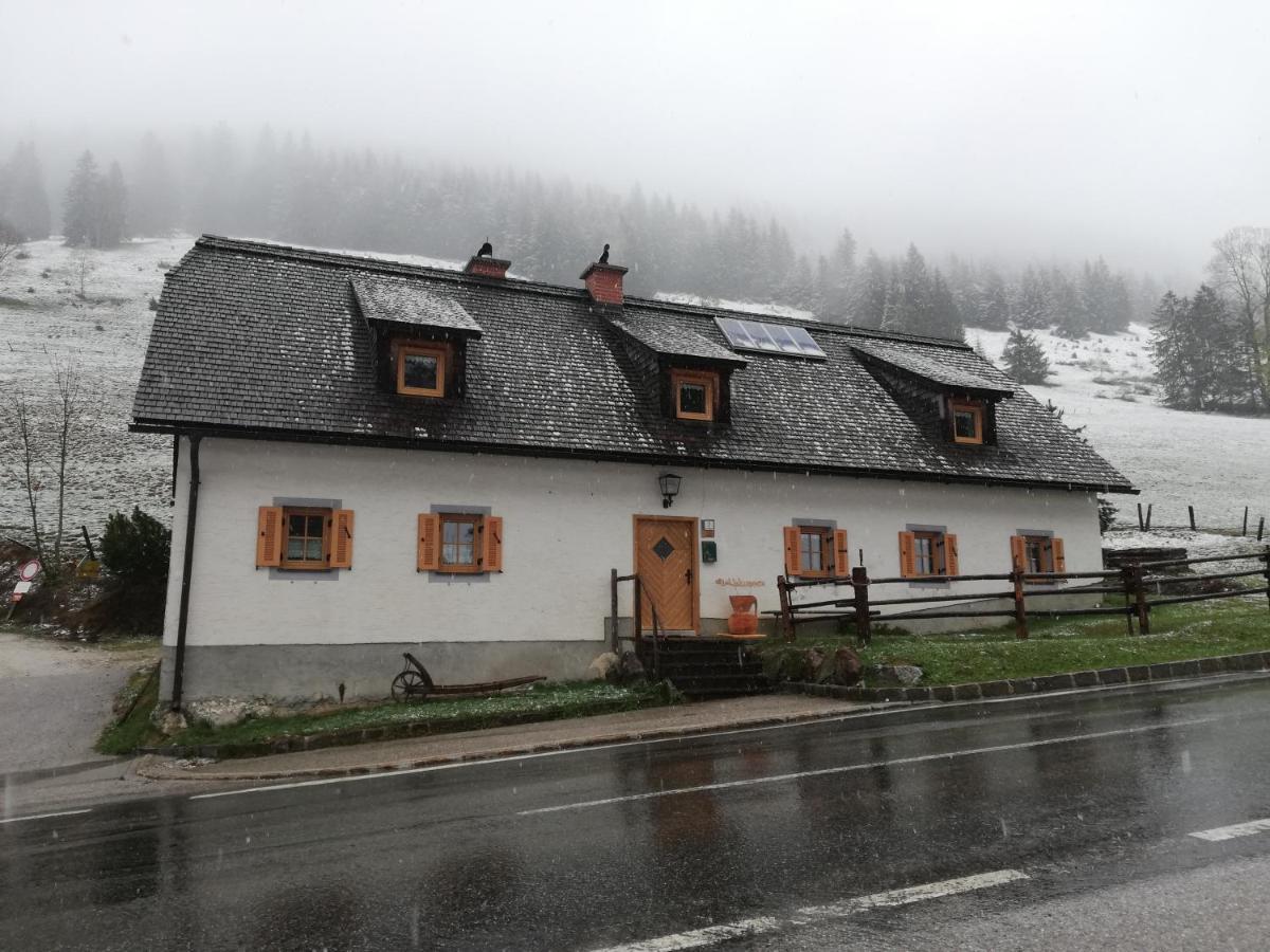 Zickerreith Almhütte Albergue Rosenau am Hengstpass Exterior foto