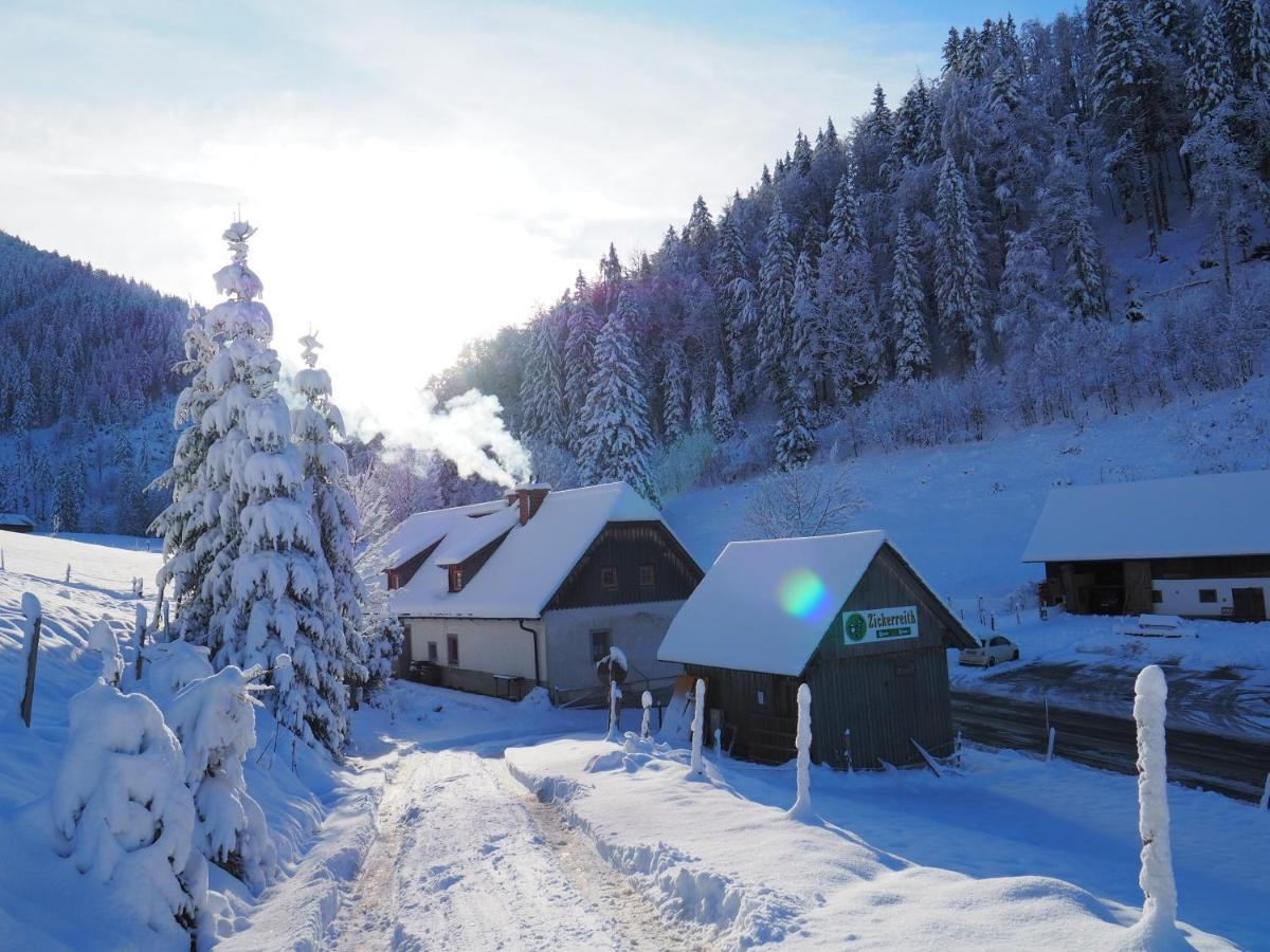 Zickerreith Almhütte Albergue Rosenau am Hengstpass Exterior foto